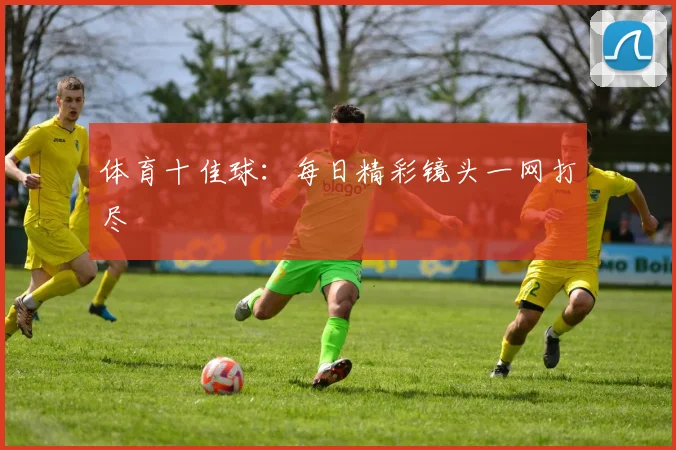 体育十佳球:每日精彩镜头一网打尽