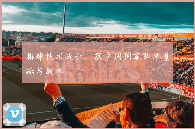 排球技术提升：跟中国国家队学基础与战术